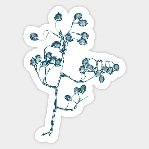 Dancing Wispy Berries Botanical Sticker by MarbleCloud